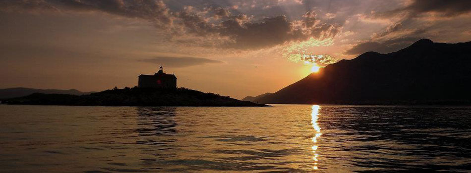 Prirodna hladovina borova i maslina na plaži Mokalo